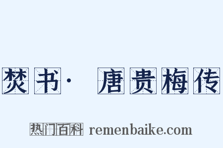 焚书·唐贵梅传是什么意思的图片